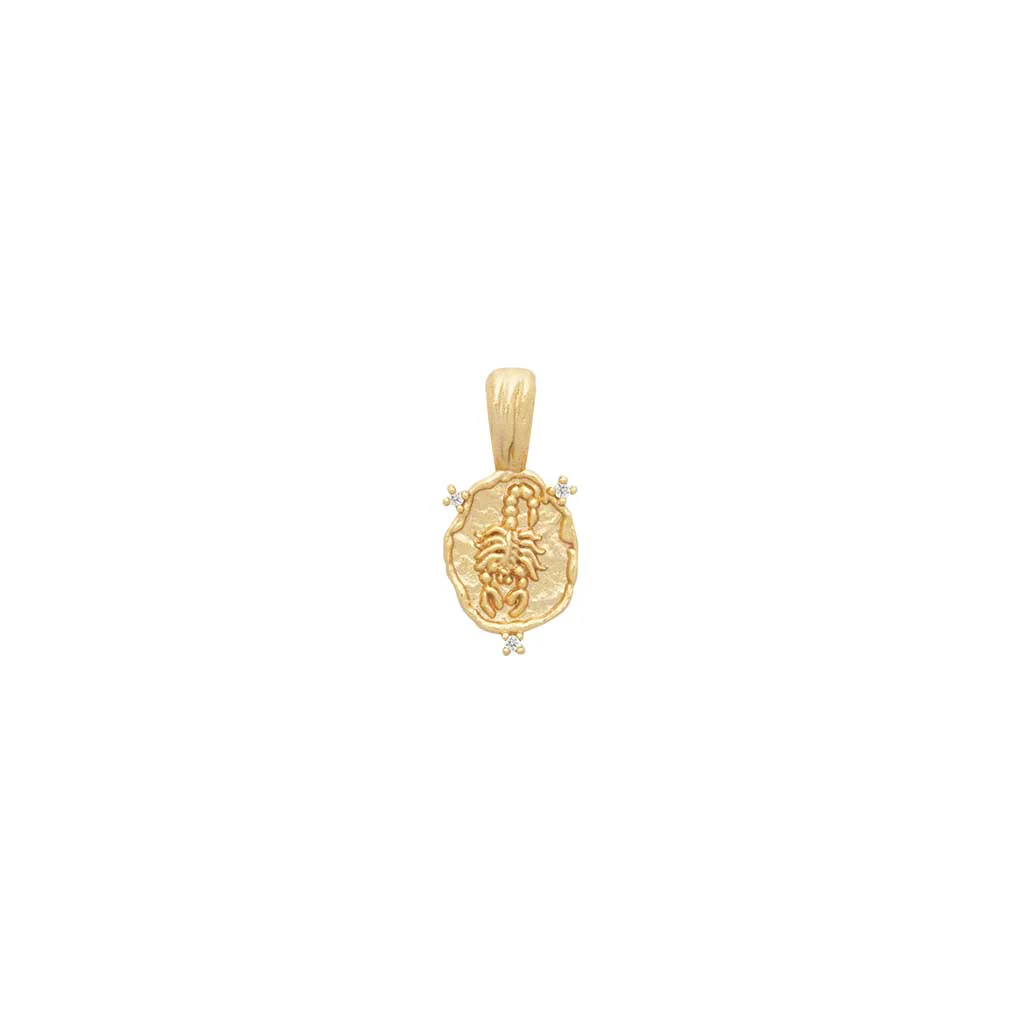 Zodiac Amulet Pendant - Image 14