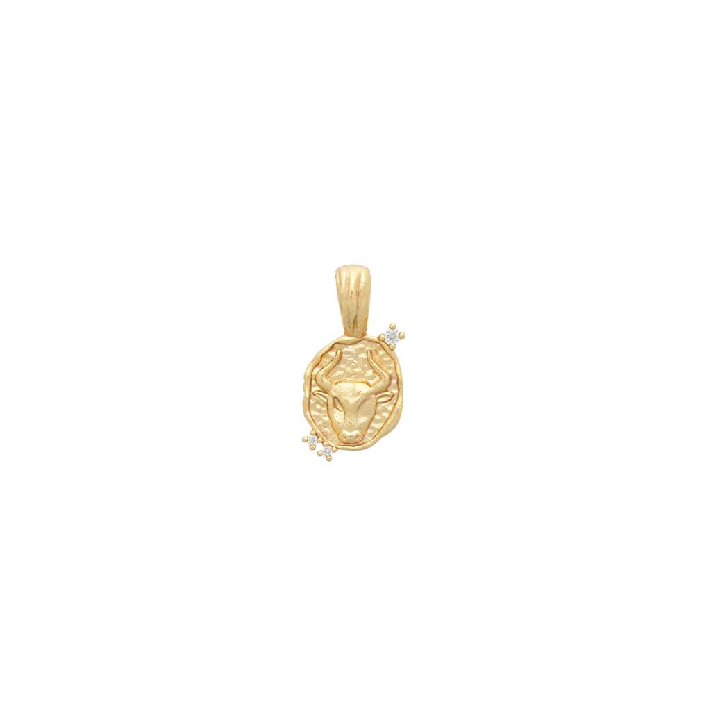 Zodiac Amulet Pendant - Image 8