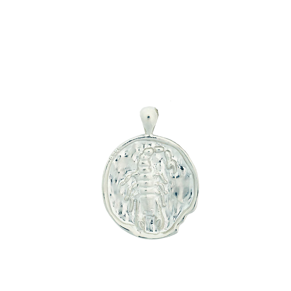 Large Zodiac II Pendant - Sterling Siver - Image 15