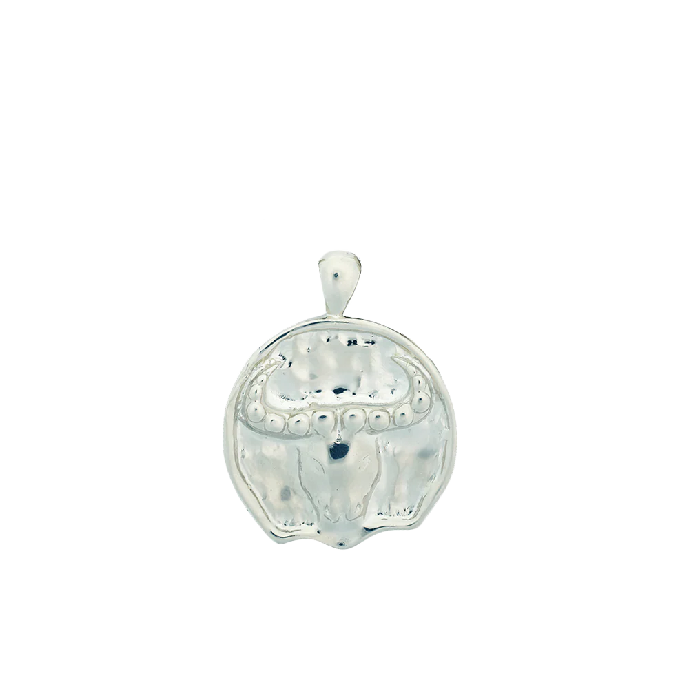 Large Zodiac II Pendant - Sterling Siver - Image 16