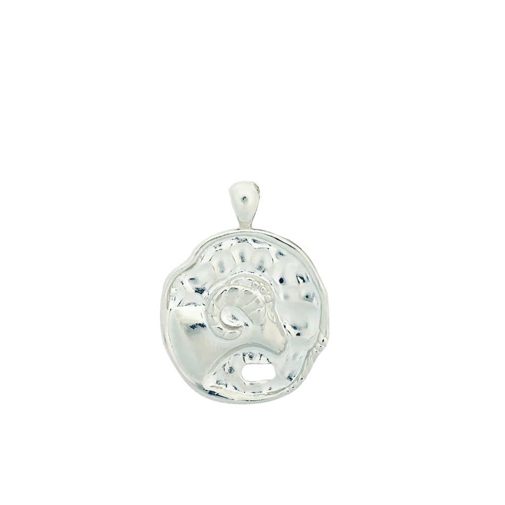 Large Zodiac II Pendant - Sterling Siver - Image 7