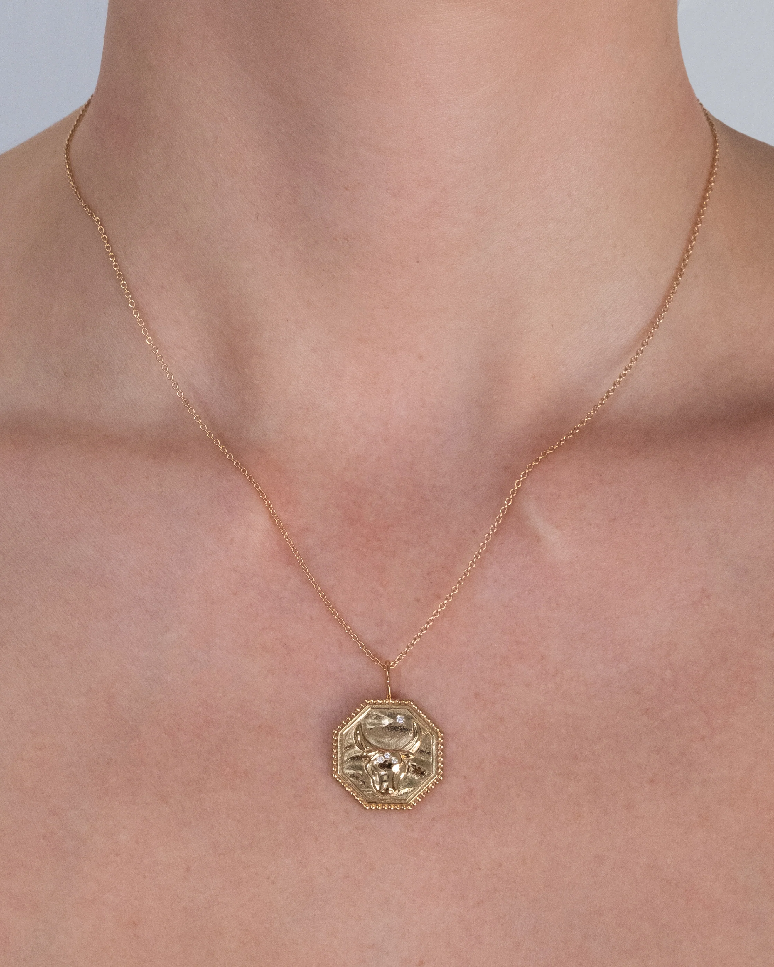 Taurus Zodiac Necklace - Image 3